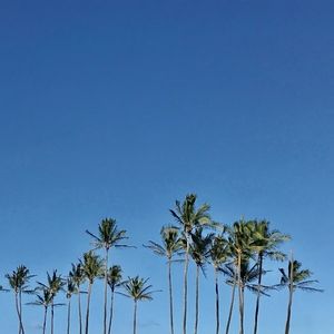 Meet your Posher, Iben